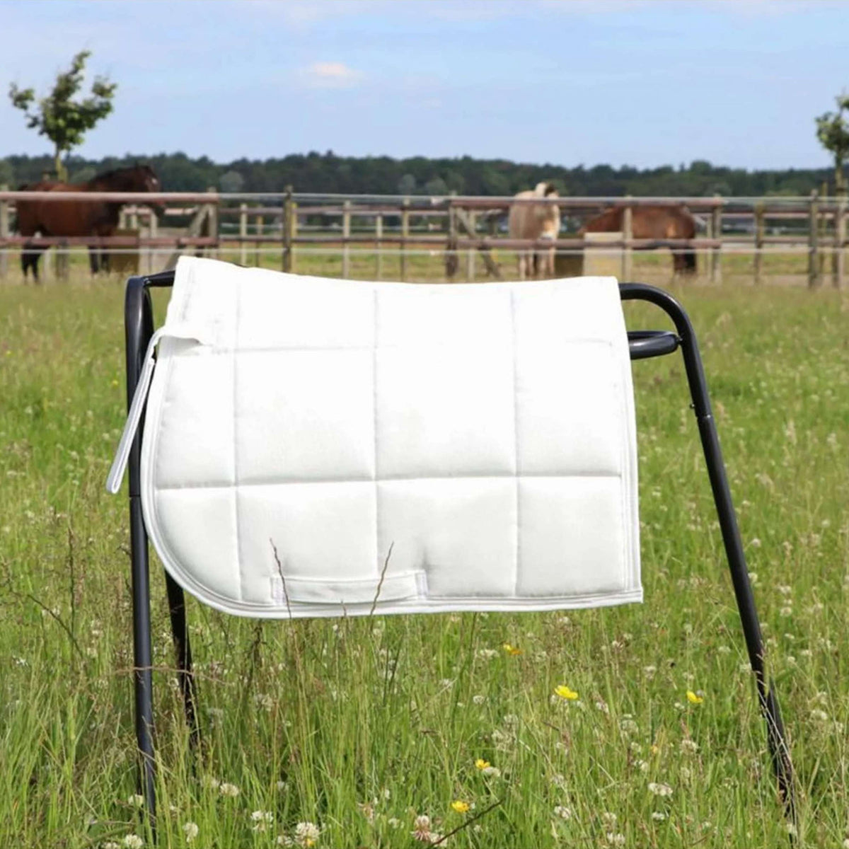 HB Sottosella Shetland Bianco