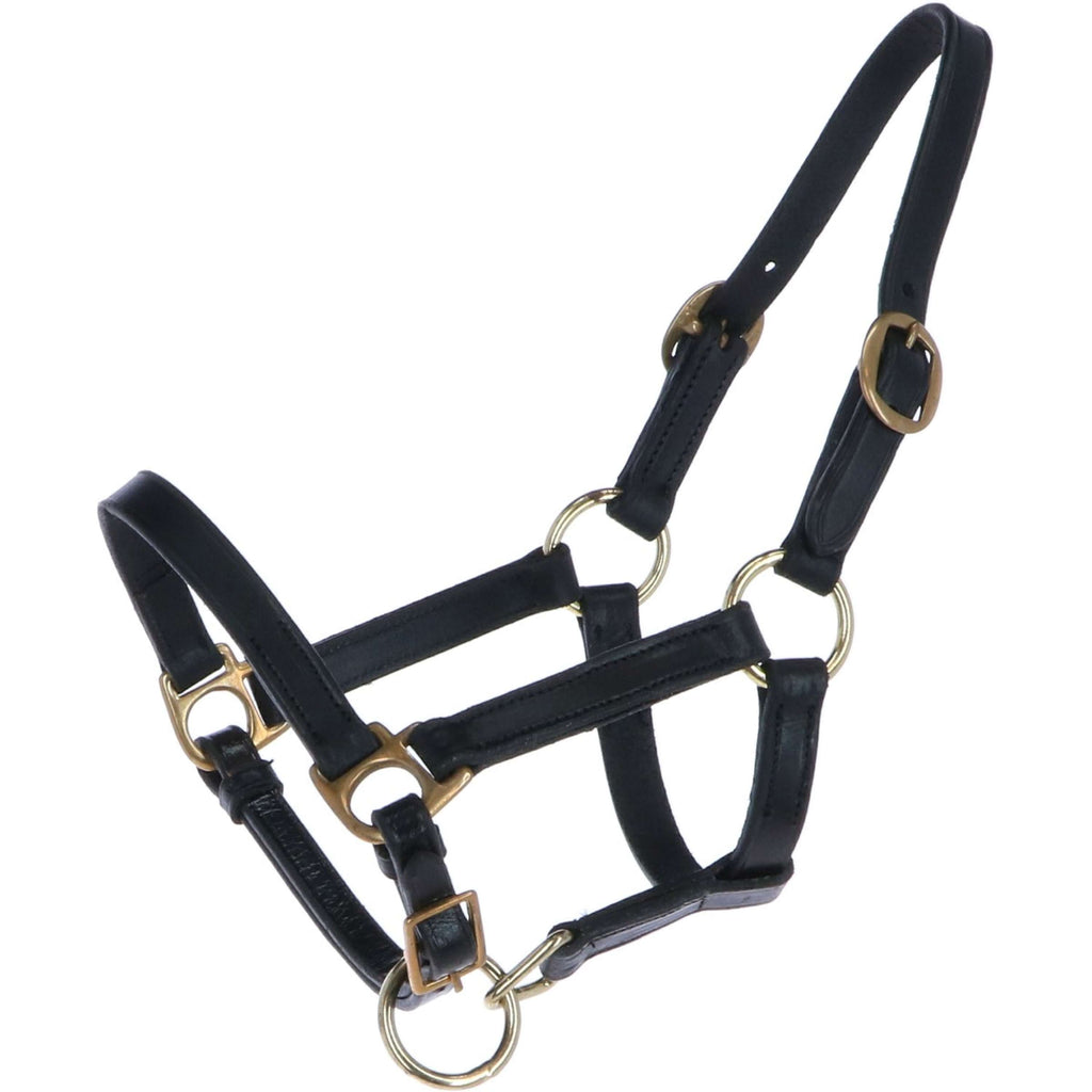 HB Cavezza per puledro Pelle Nero