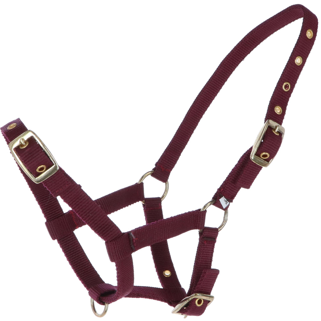 HB Cavezza per puledro Nylon Bordeaux