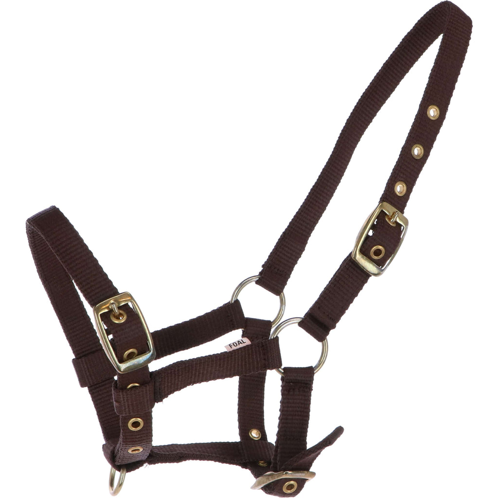 HB Cavezza per puledro Nylon Marrone