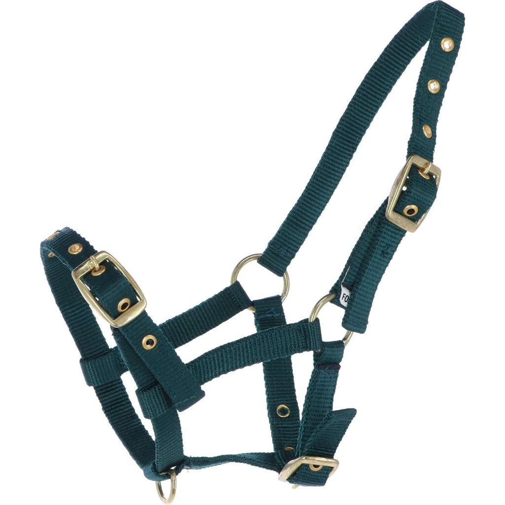 HB Cavezza per puledro Nylon Verde