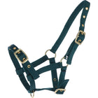 HB Cavezza per puledro Nylon Verde