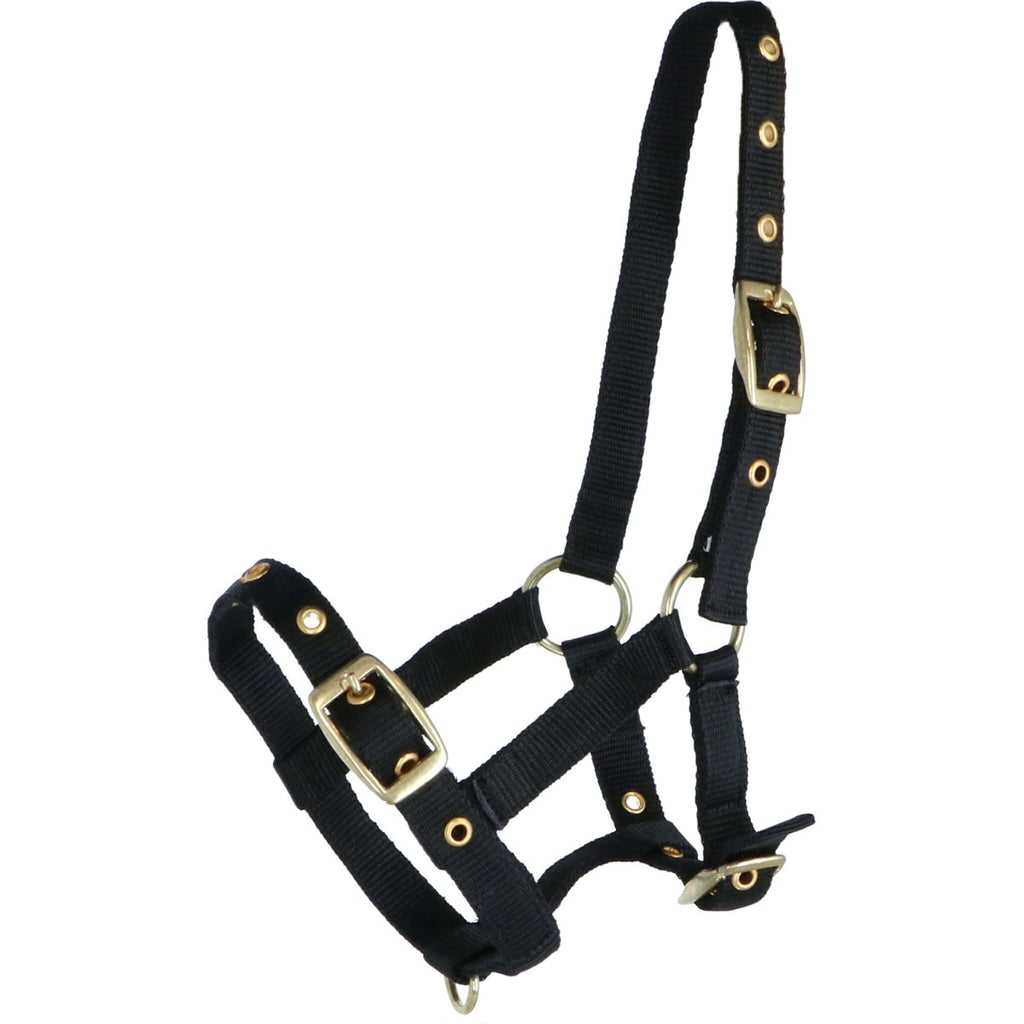 HB Cavezza per puledro Nylon Nero