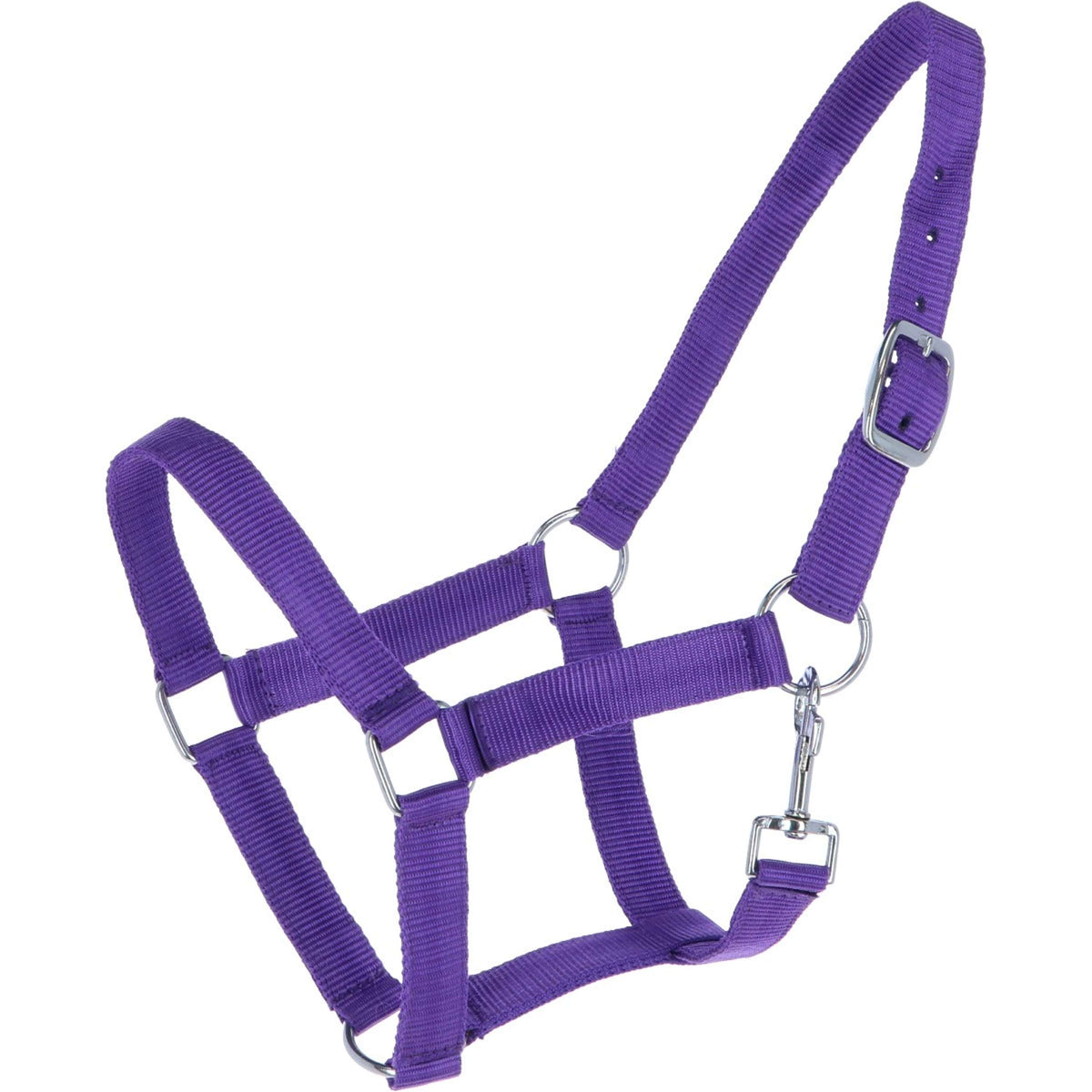 HB Ruitersport Capezzina Nylon Viola
