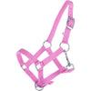HB Cavezza per puledro Astrid Rosa
