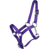 HB Cavezza per puledro Astrid Viola