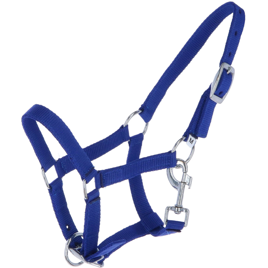 HB Cavezza per puledro Astrid Royal Blue