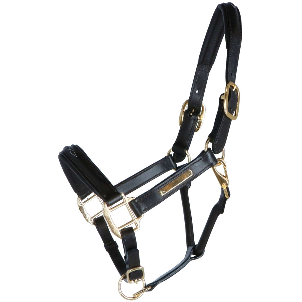 HB Cavezza Horse Name Pelle Marrone