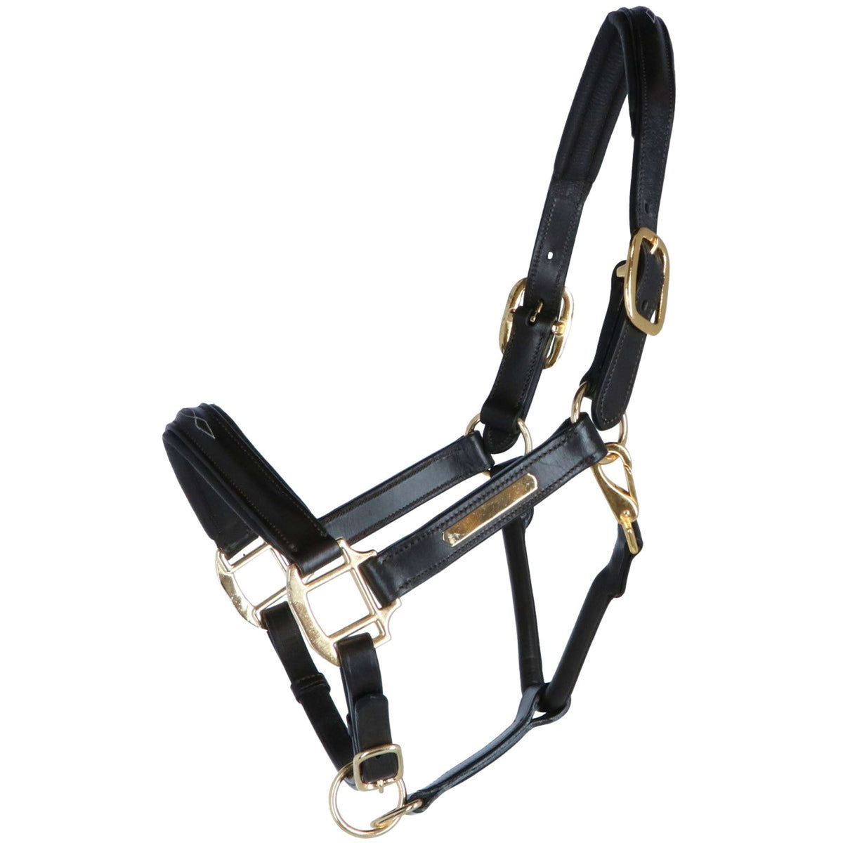 HB Capezzina Horse Name Marrone