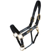 HB Capezzina Horse Name Marrone