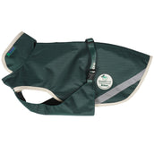 Bucas Green-Line Dog Rug Verde