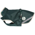 Bucas Green-Line Dog Rug Verde