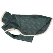 Bucas Green-Line Dog Rug Verde