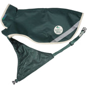 Bucas Green-Line Dog Rug Verde