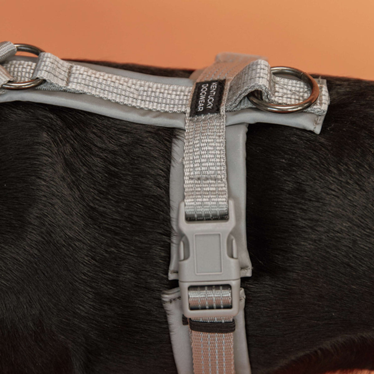 Kentucky Dogwear Imbracatura Active Reflective Grigio