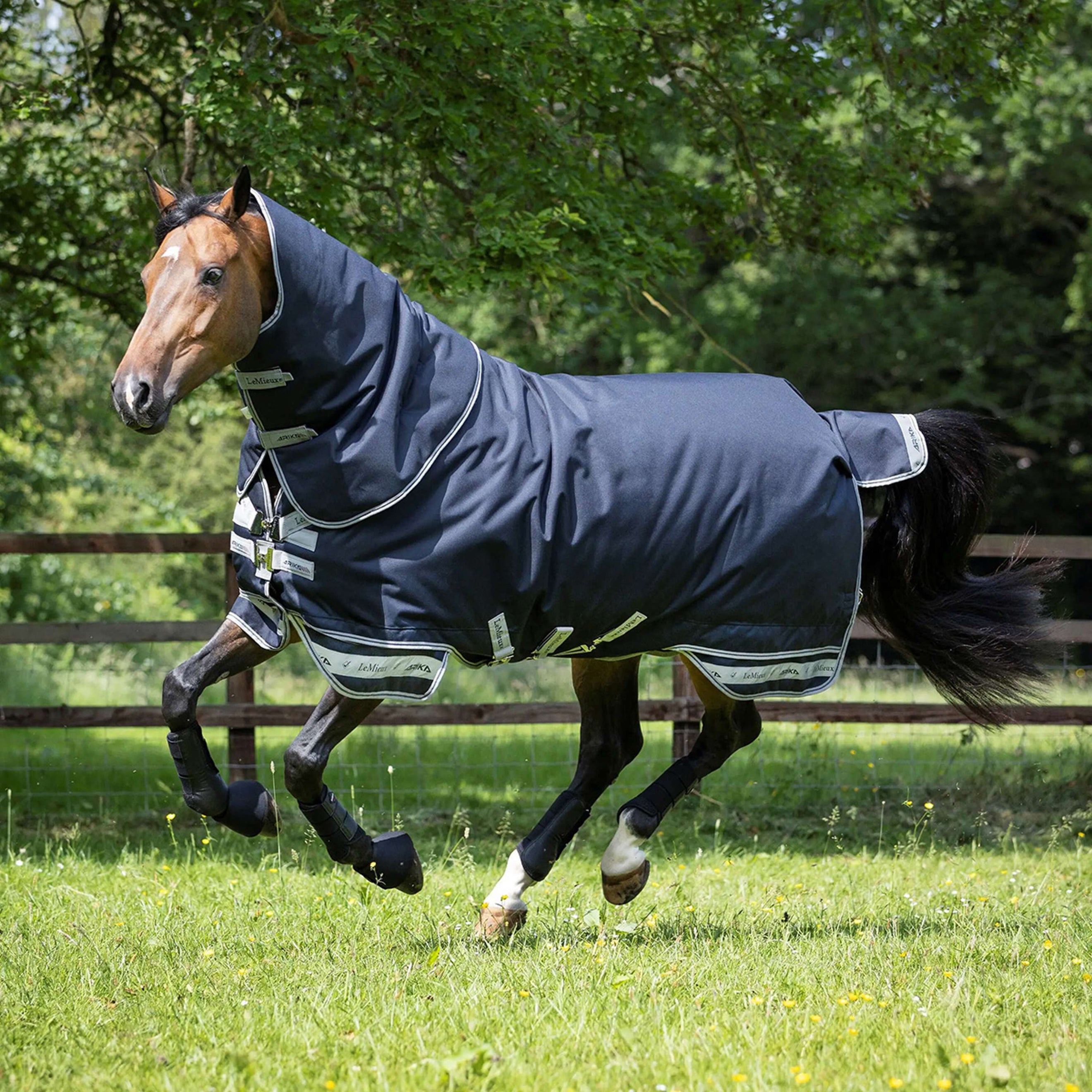 LeMieux Tappeto Arika Storm-Tek Turnout 100g Navy