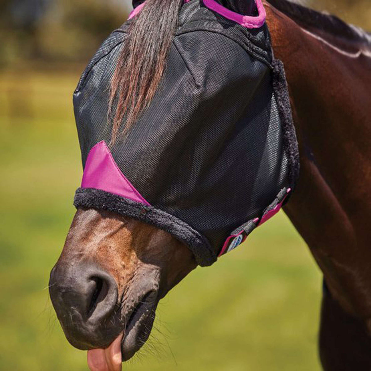 Weatherbeeta Maschera per Mosche Comfitec Deluxe Durable Mesh Nero/Viola