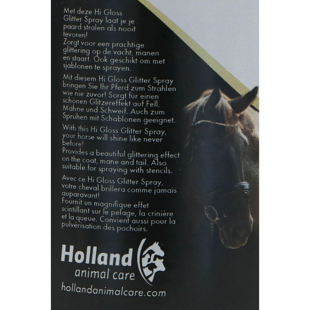 Excellent Spray Glitterato Hi Gloss Argento