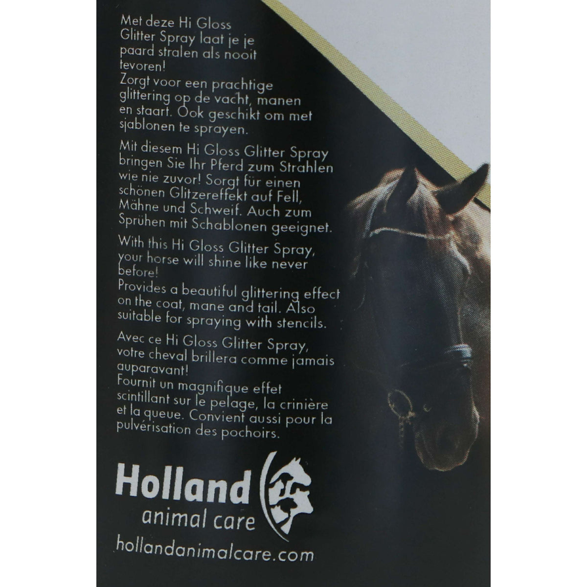 Excellent Spray Glitterato Hi Gloss Argento