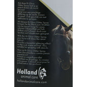 Excellent Spray Glitterato Hi Gloss Argento