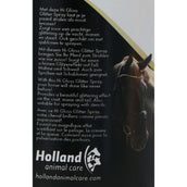 Excellent Spray Glitterato Hi Gloss Oro