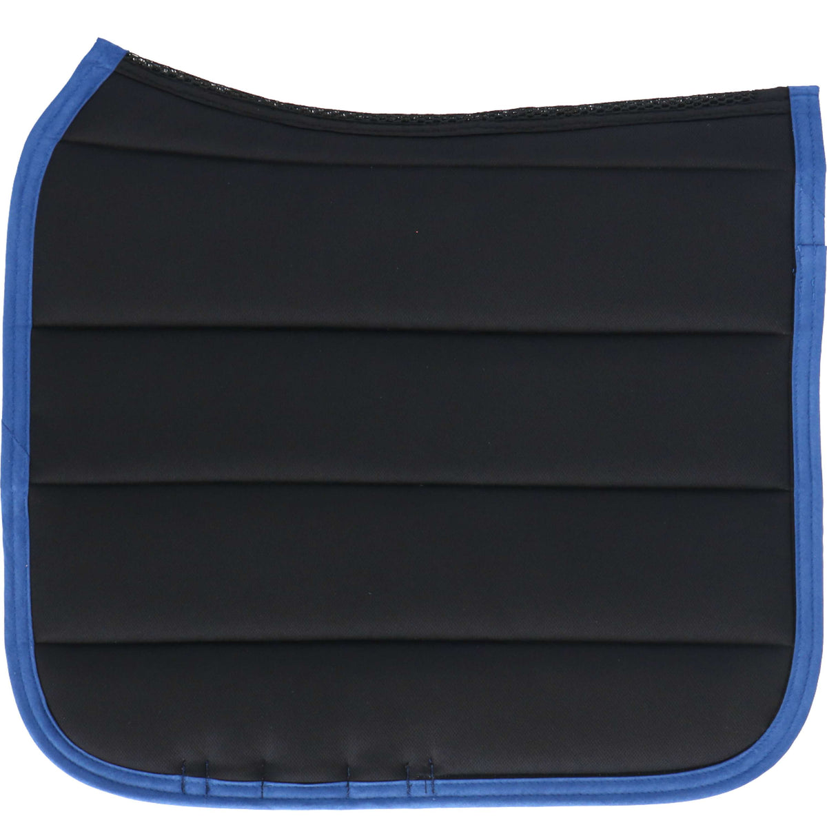 ANKY Sottosella Anatomic Tech Dressage Royal Blue
