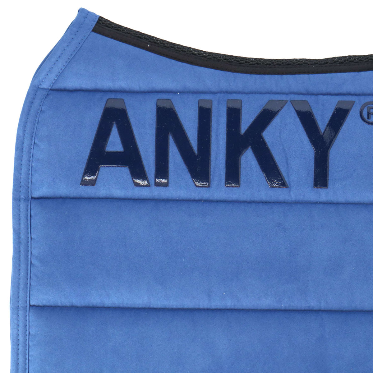 ANKY Sottosella Anatomic Tech Dressage Royal Blue