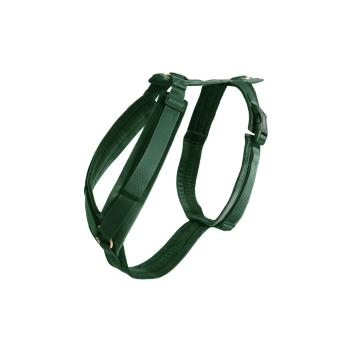 Kentucky Dogwear Imbracatura Active Velvet Pine Green