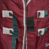 Tempest Original by Shires Ritorno dell'affluenza alle urne 200g Marrone