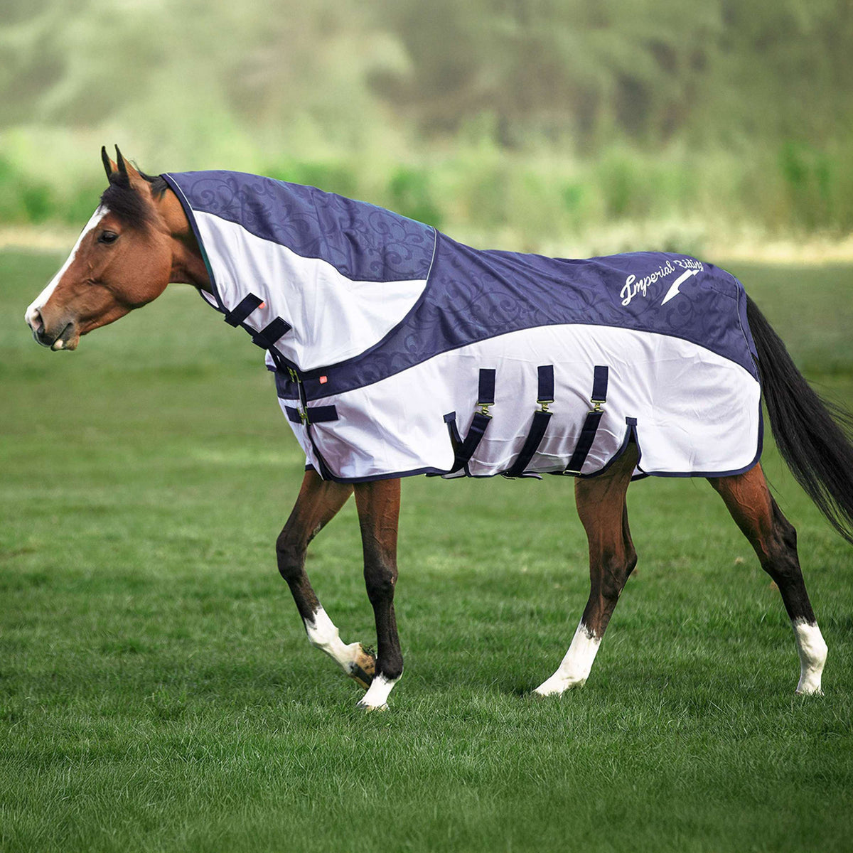 Imperial Riding Mosca e Coperta Antipioggia IRHSuper-Dry Marina