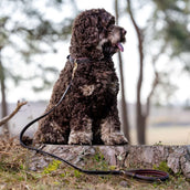 LeMieux Guinzaglio per Cane Windsor Padded Marrone