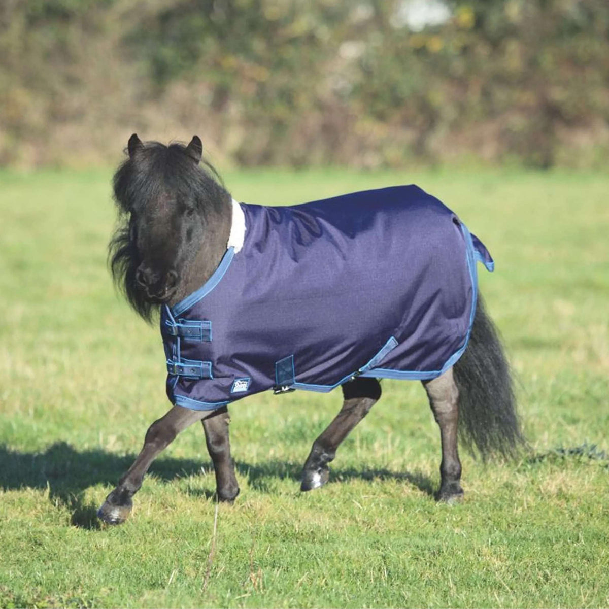 Tempest Original by Shires Coperta Impermeabile Lite Mini Navy