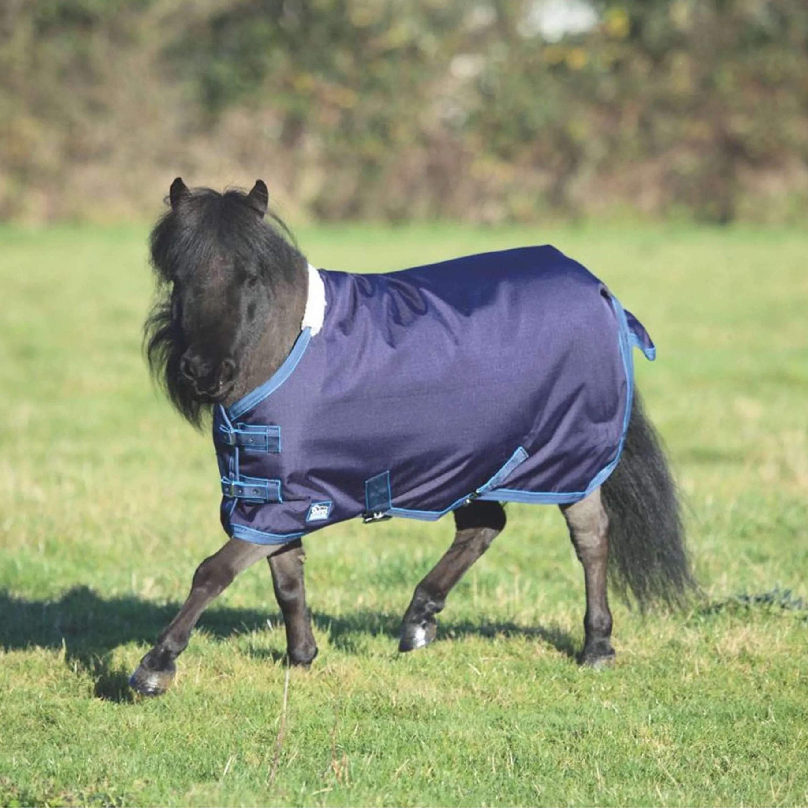 Tempest Original by Shires Coperta Impermeabile Lite Mini Navy