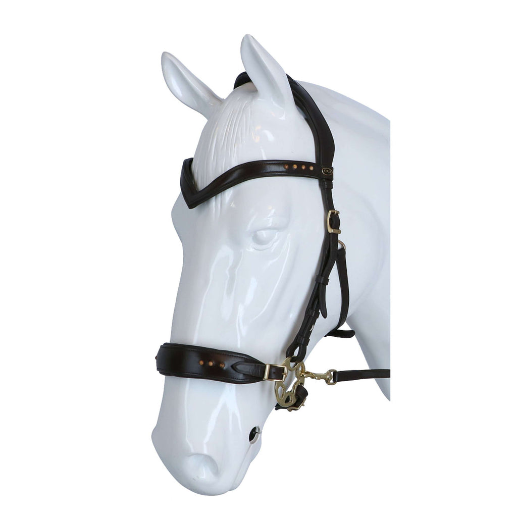 F.R.A. Briglia Glory Marrone