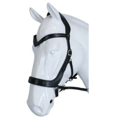 F.R.A. Briglia Glory Nero