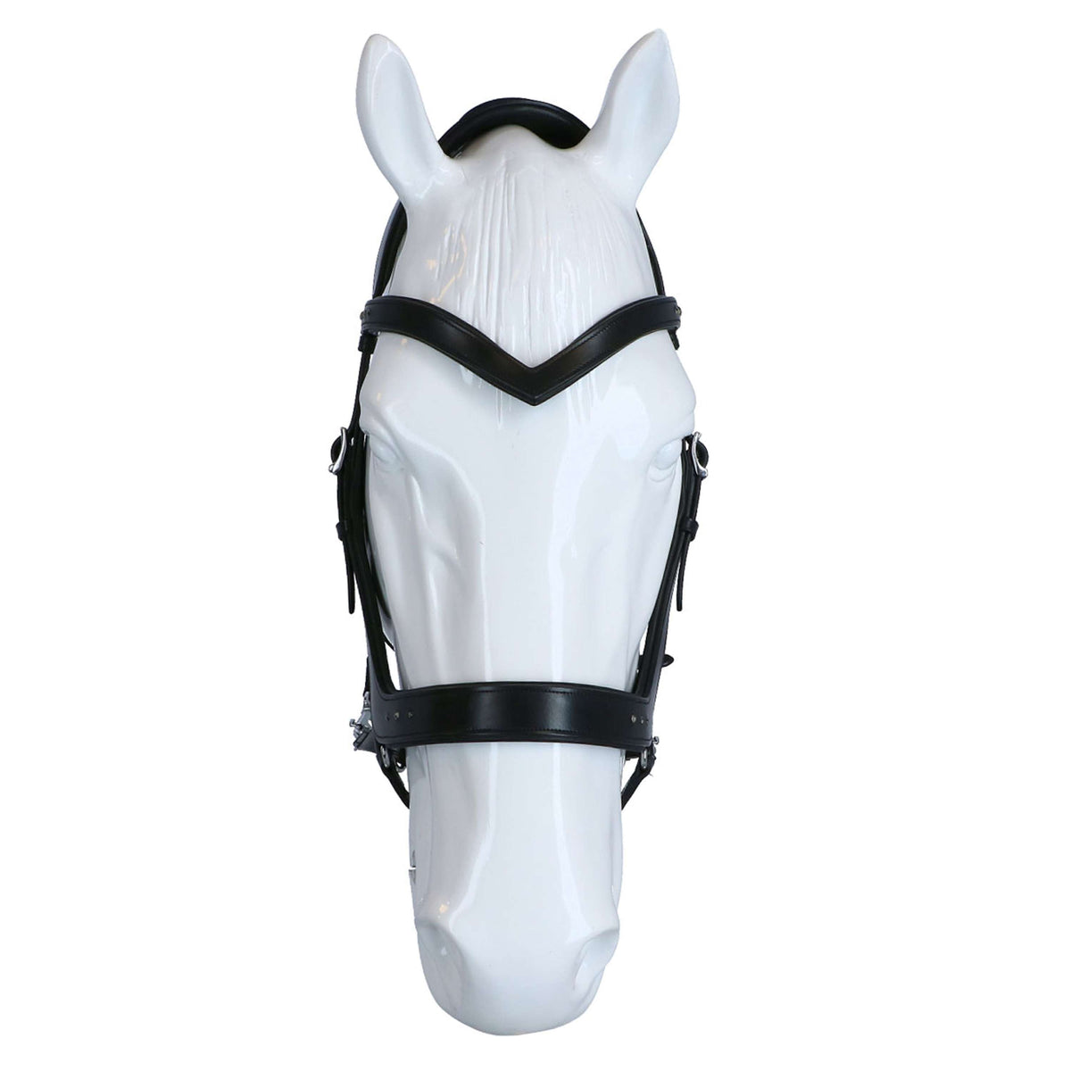 F.R.A. Briglia Glory Nero