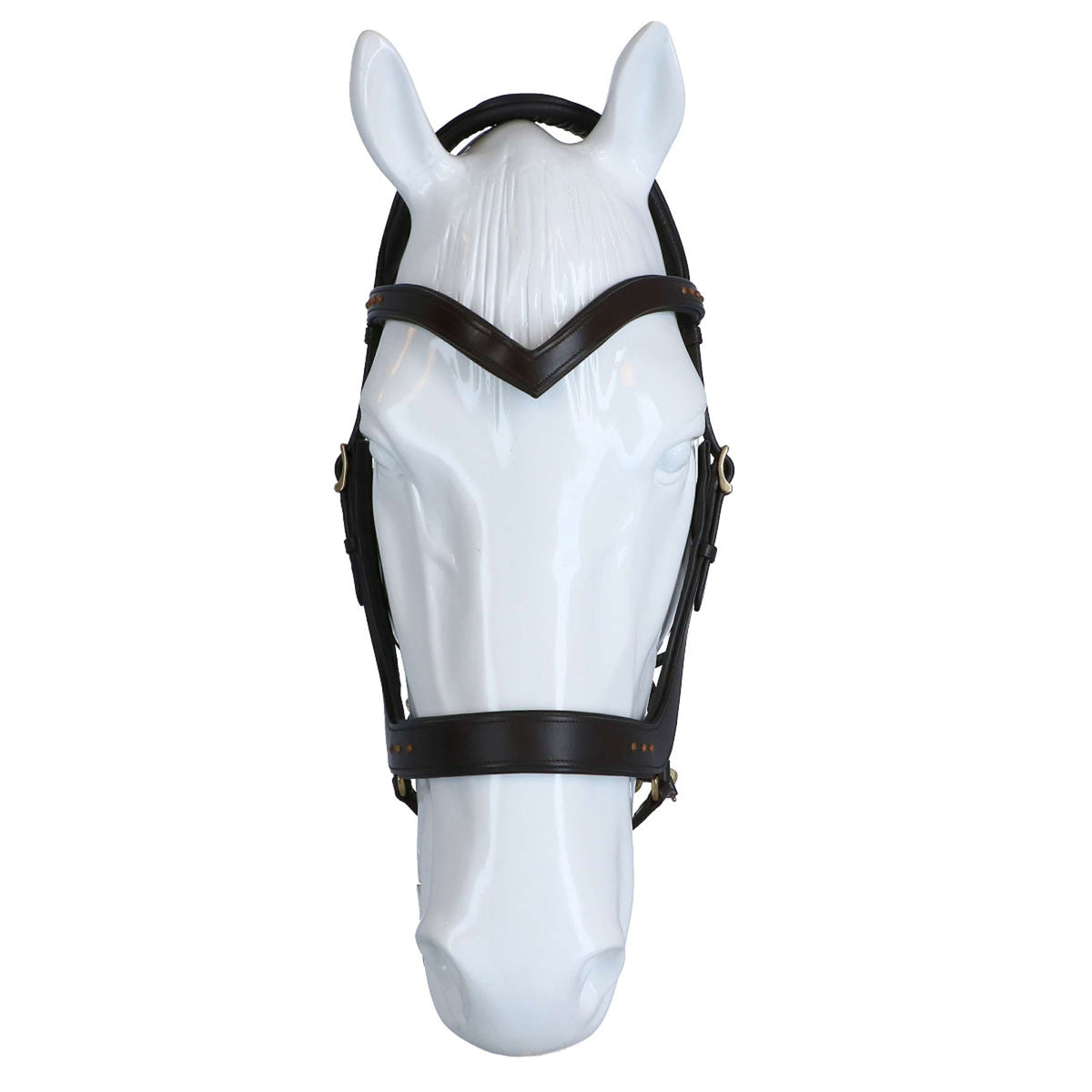 F.R.A. Briglia Glory Marrone