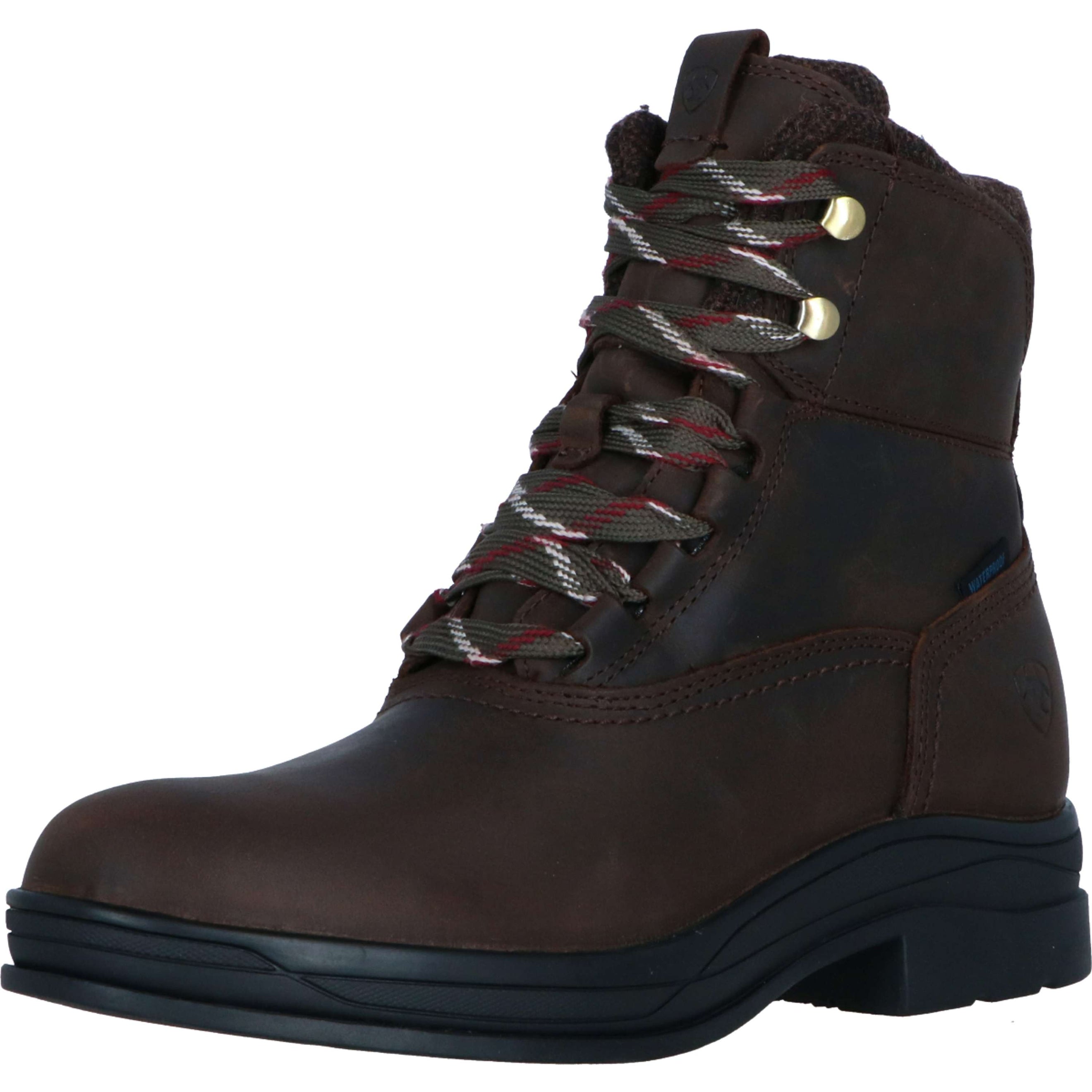 Ariat Stivali da Scuderia Harper Waterproof Donne Chocolat/Willow Ariat Stivali da Scuderia Harper Waterproof Donne Chocolat/Willow