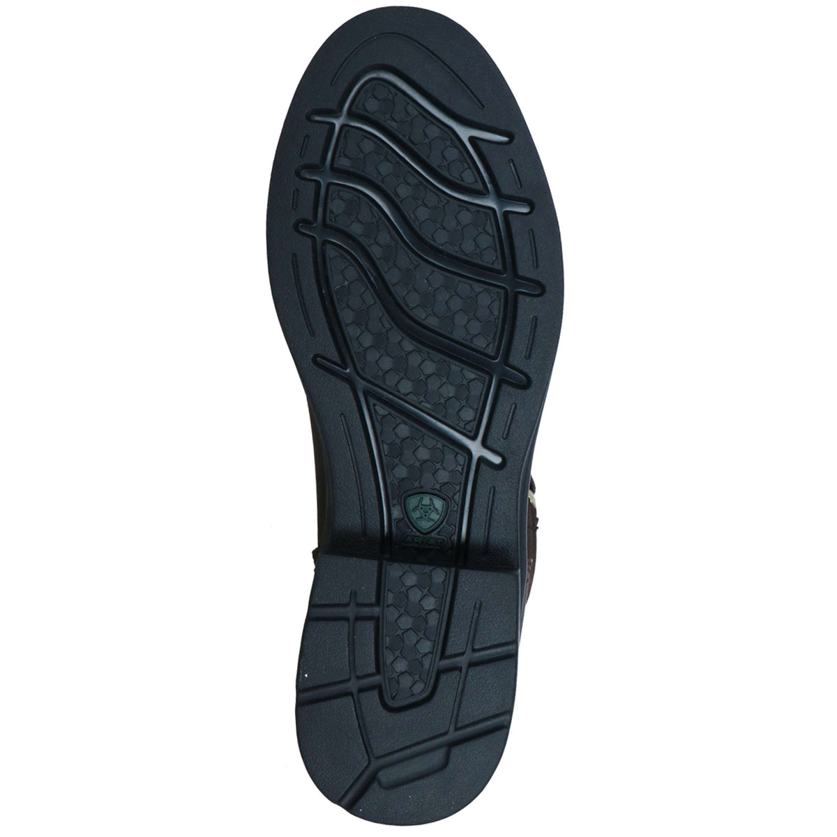 Ariat Stivali da Scuderia Harper Waterproof Donne Chocolat/Willow