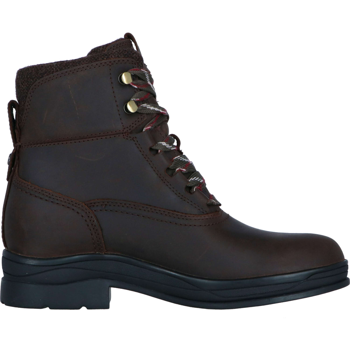 Ariat Stivali da Scuderia Harper Waterproof Donne Chocolat/Willow