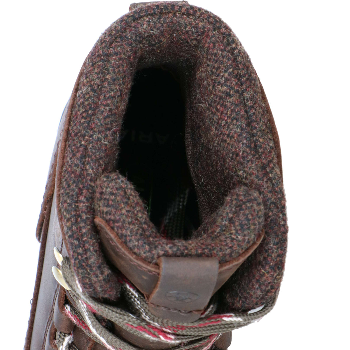 Ariat Stivali da Scuderia Harper Waterproof Donne Chocolat/Willow