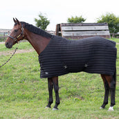 Harry's Horse Sottocoperta Powerliner Nero
