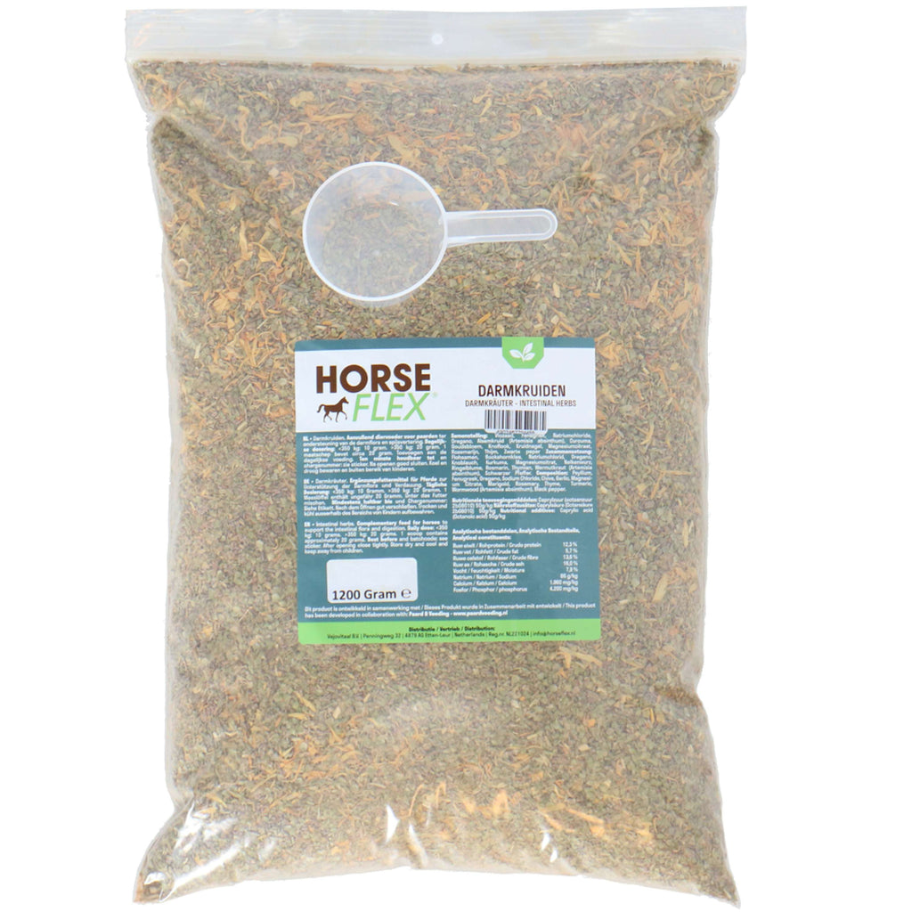 Horseflex Erbe intestinali