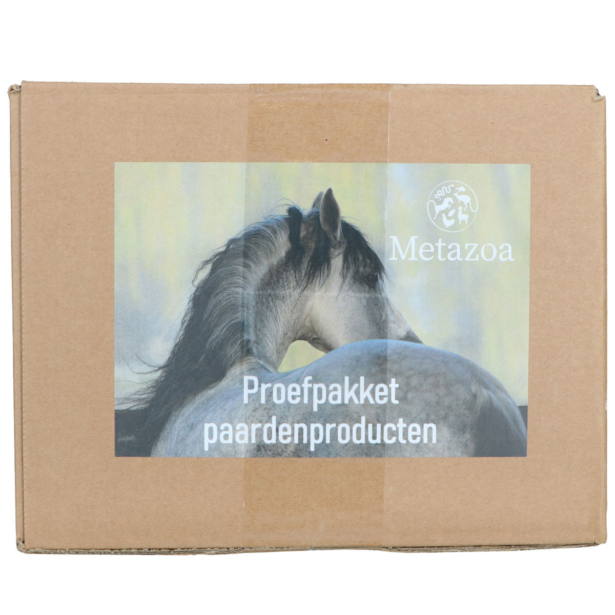 Metazoa Pacchetto prova