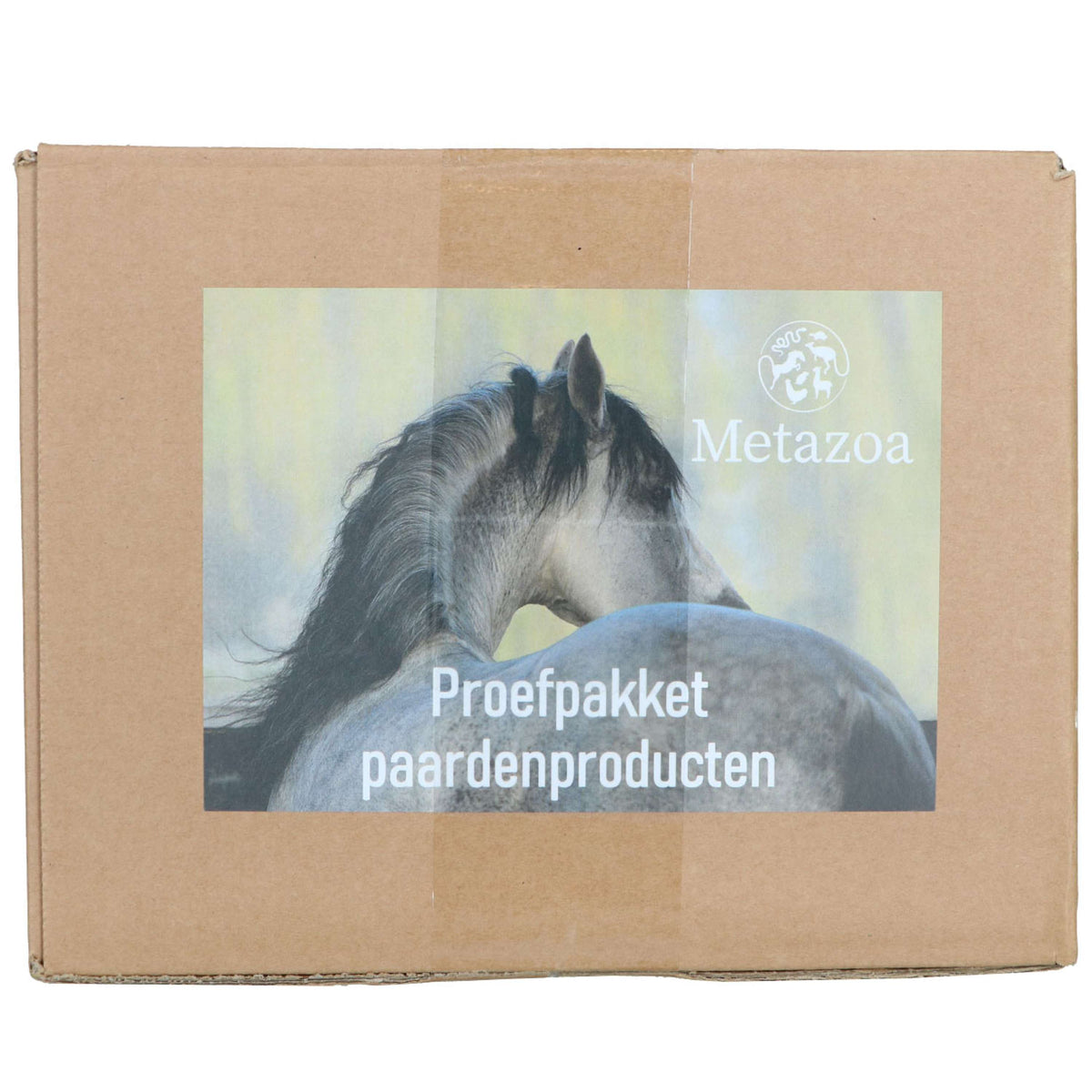 Metazoa Pacchetto prova