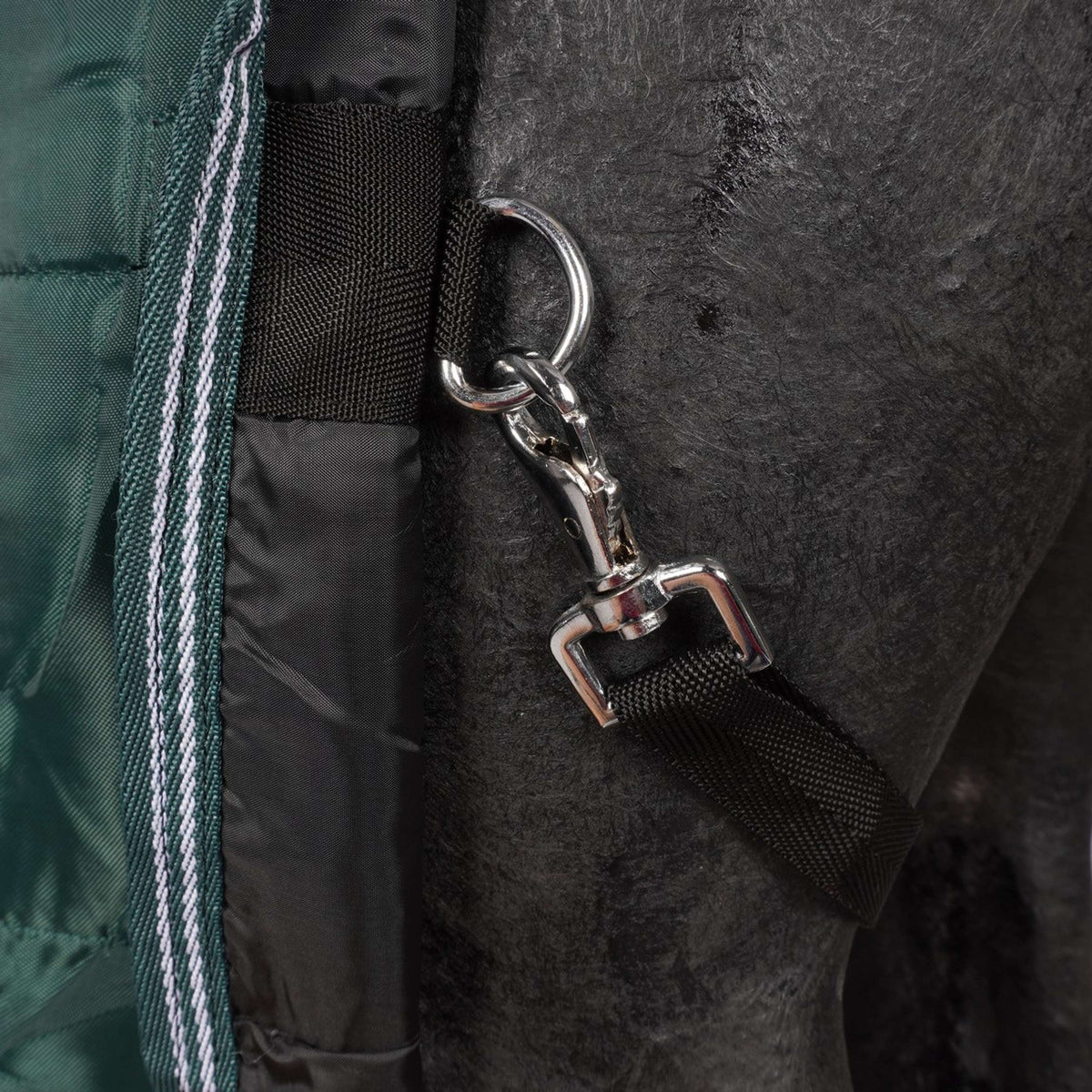 Waldhausen Coperta da scuderia Economic Verde abete rosso