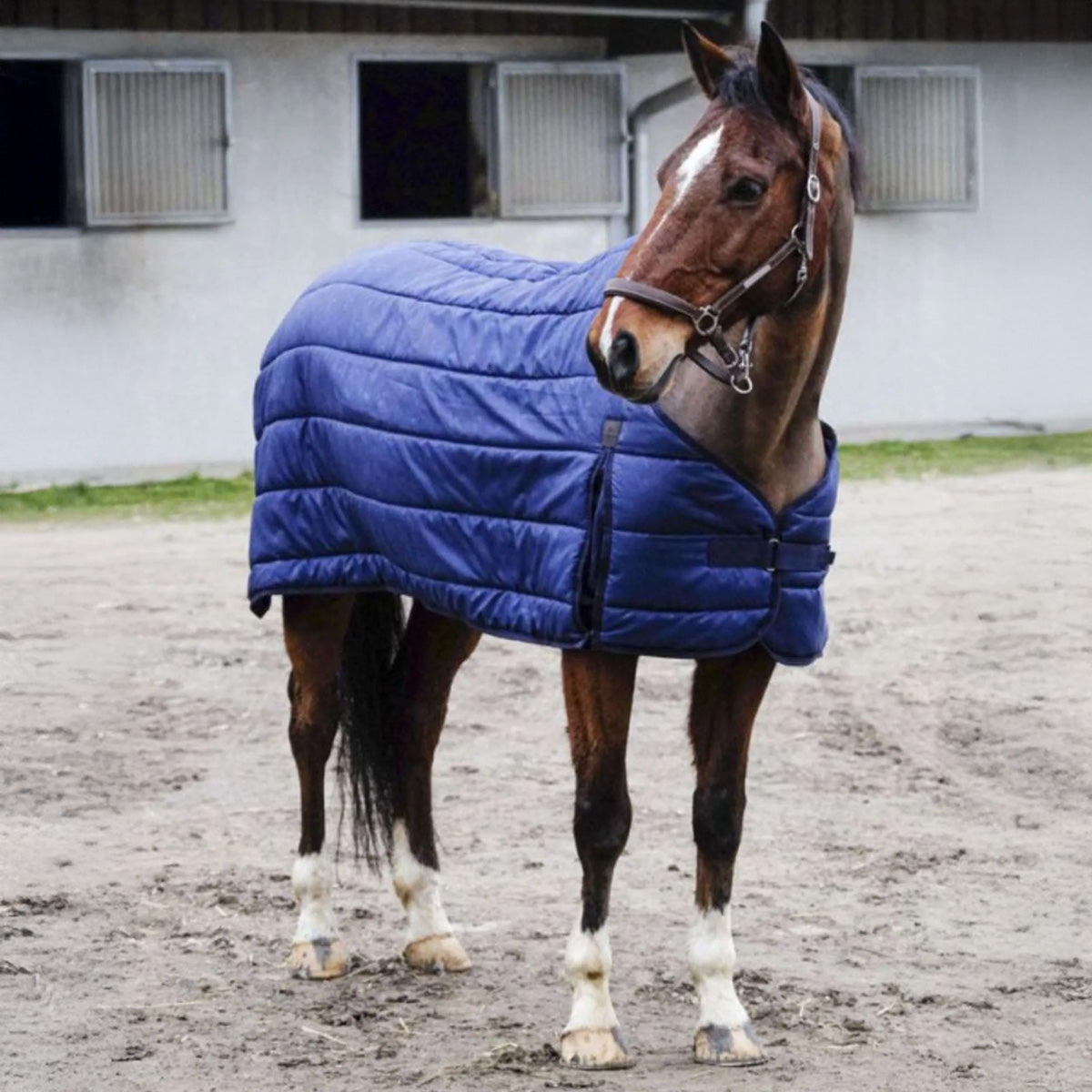 EQUITHÈME Sottocoperta Classic 200 g Navy