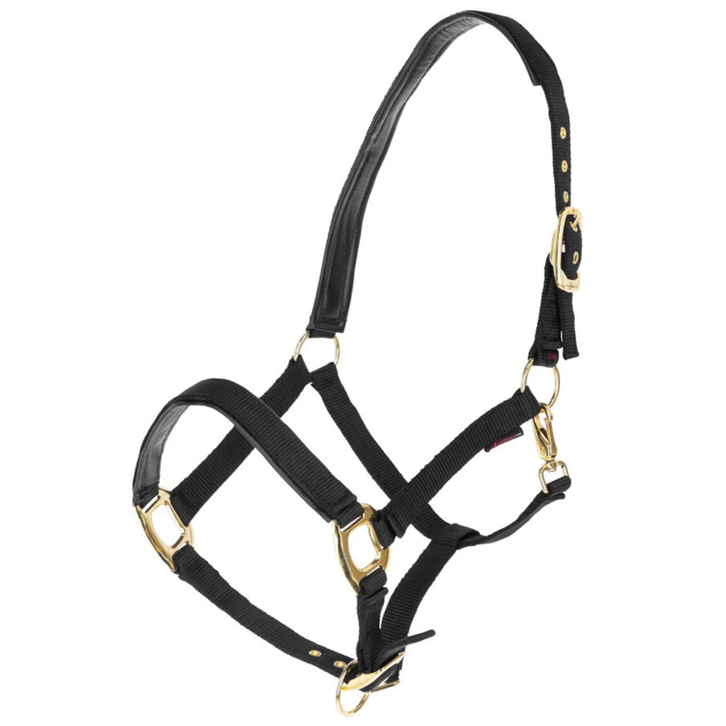 Covalliero Cavezza TopLine Nero