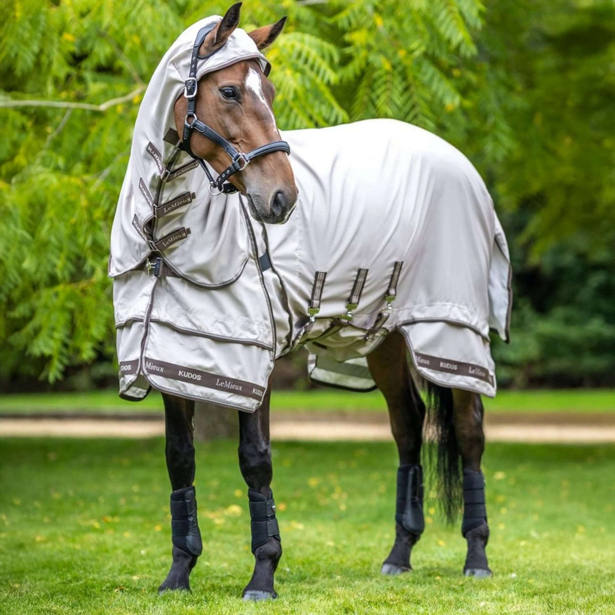 LeMieux Coperta per Eczema Kudos Sweet Itch Calcolo