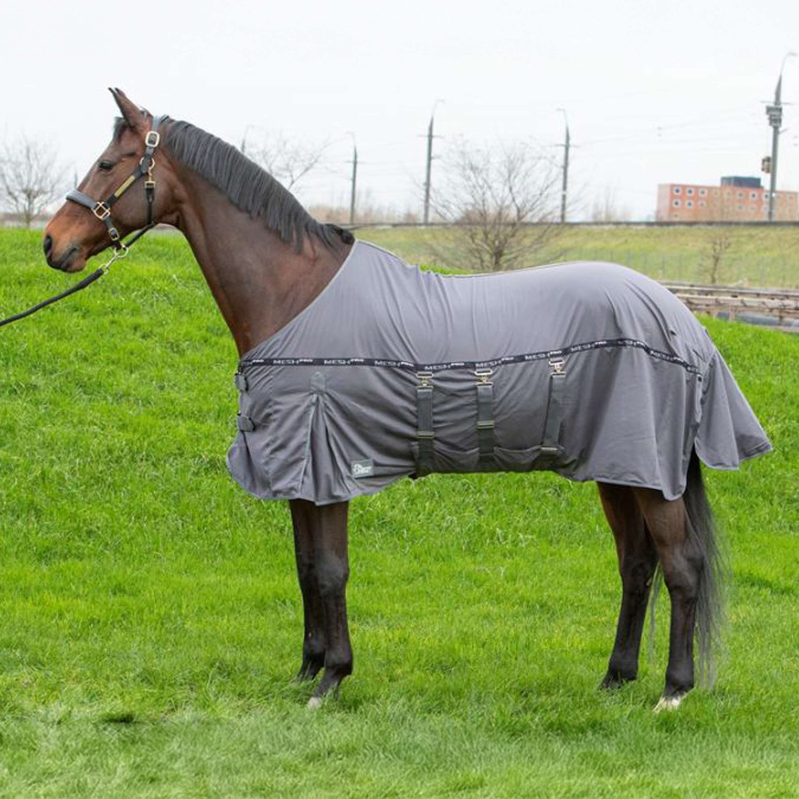 Harry's Horse Coperta Antimosche Mesh Pro Belly Grigio Harry's Horse Coperta Antimosche Mesh Pro Belly Grigio